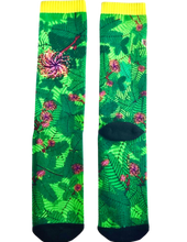 Load image into Gallery viewer, Trinidad Timarie Socks
